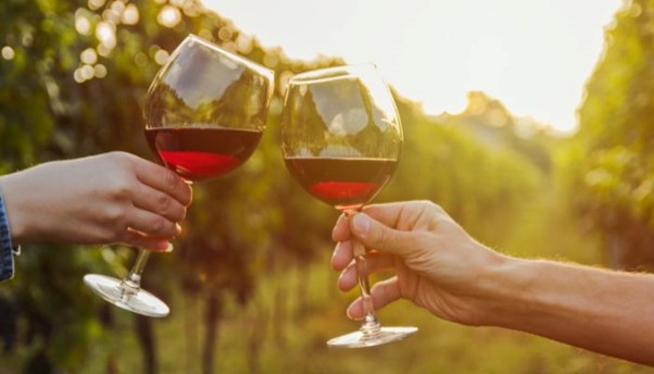 Wine Tasting in the Adelaide Hills