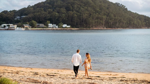 Things to Do When Pet Sitting in Central Coast NSW