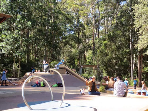 Best Places to Visit While Pet Sitting in Newcastle NSW