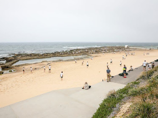 Best Pet-Friendly Beaches in Newcastle NSW